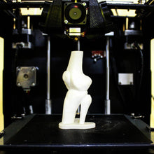 Load image into Gallery viewer, Bone Structure 3D Printed on the FABX Pro