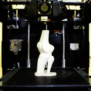 Bone Structure 3D Printed on the FABX Pro